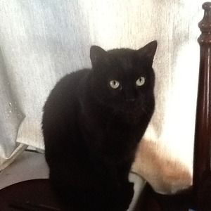 Meet your Posher, Donna